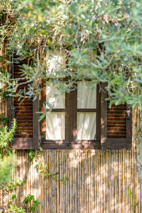 Achtis Hotel Afytos Dış mekan fotoğraf